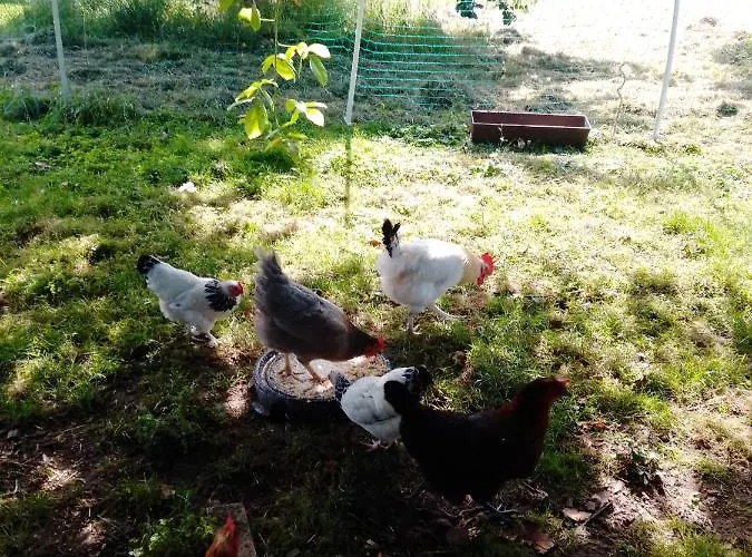 アパート Meyerhof