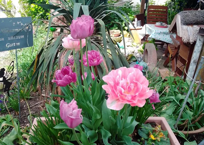 アパート Meyerhof シュヴァナウ