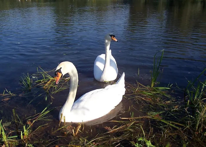 Meyerhof アパート *