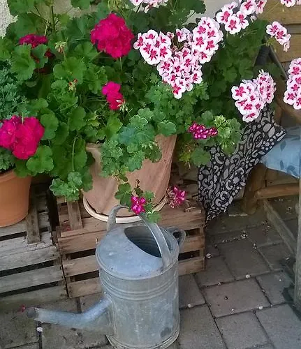 Meyerhof Apartment Schwanau